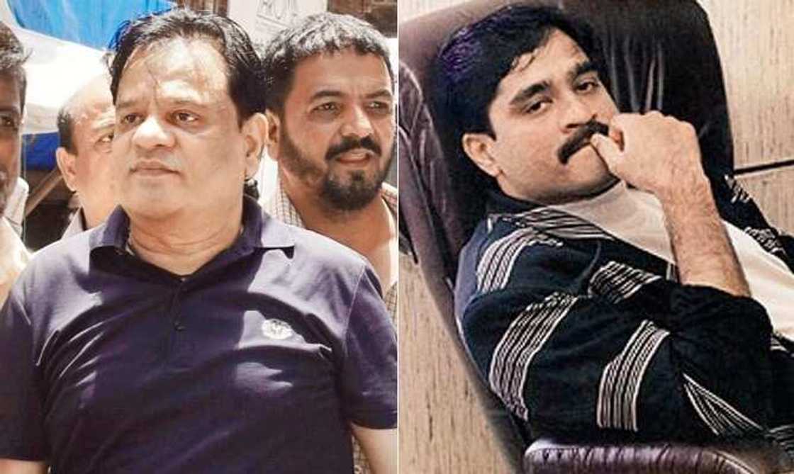 Maza gumbar dutse: Manyan hatsabiban duniya 5 da ake nema ruwa a jallo Maza gumbar dutse: Manyan hatsabiban duniya 5 da ake nema ruwa a jallo