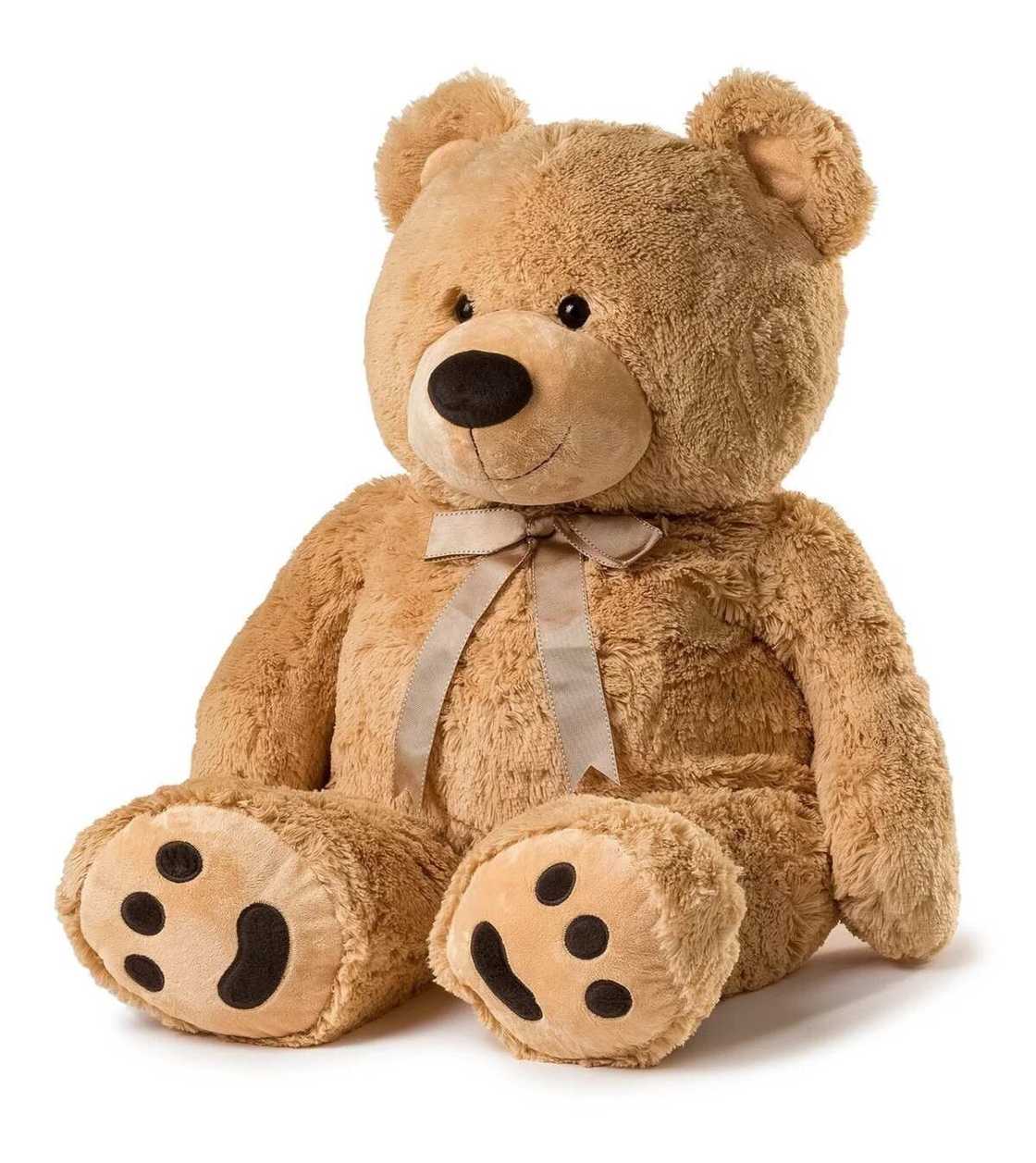 Bear toy Bear toy
