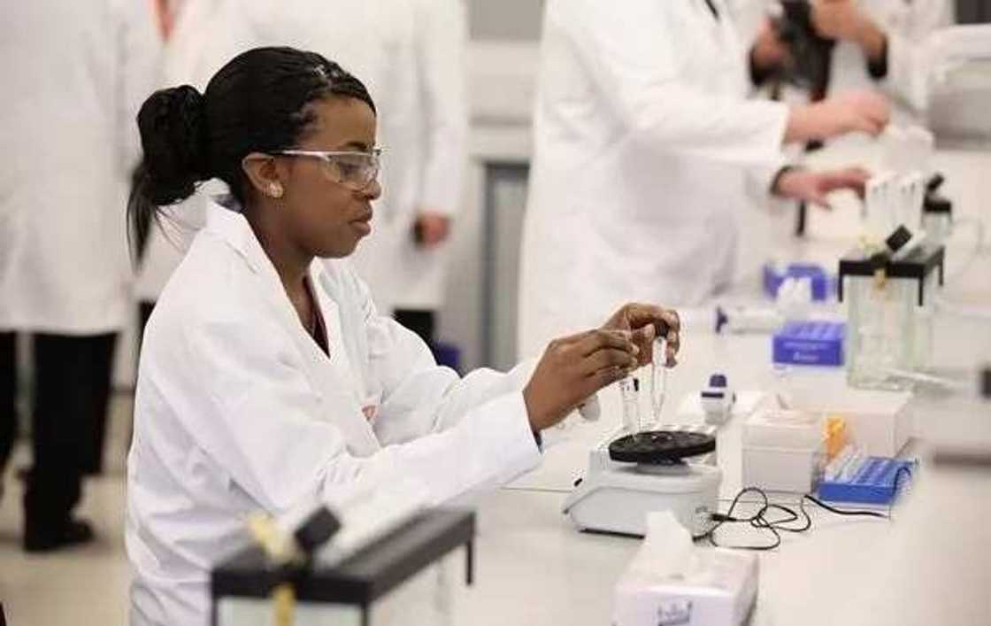 Types of manufacturing industries in Nigeria chemical production Types of manufacturing industries in Nigeria chemical production