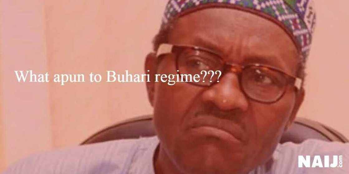 Most overused words by Nigerians in 2016 Most overused words by Nigerians in 2016