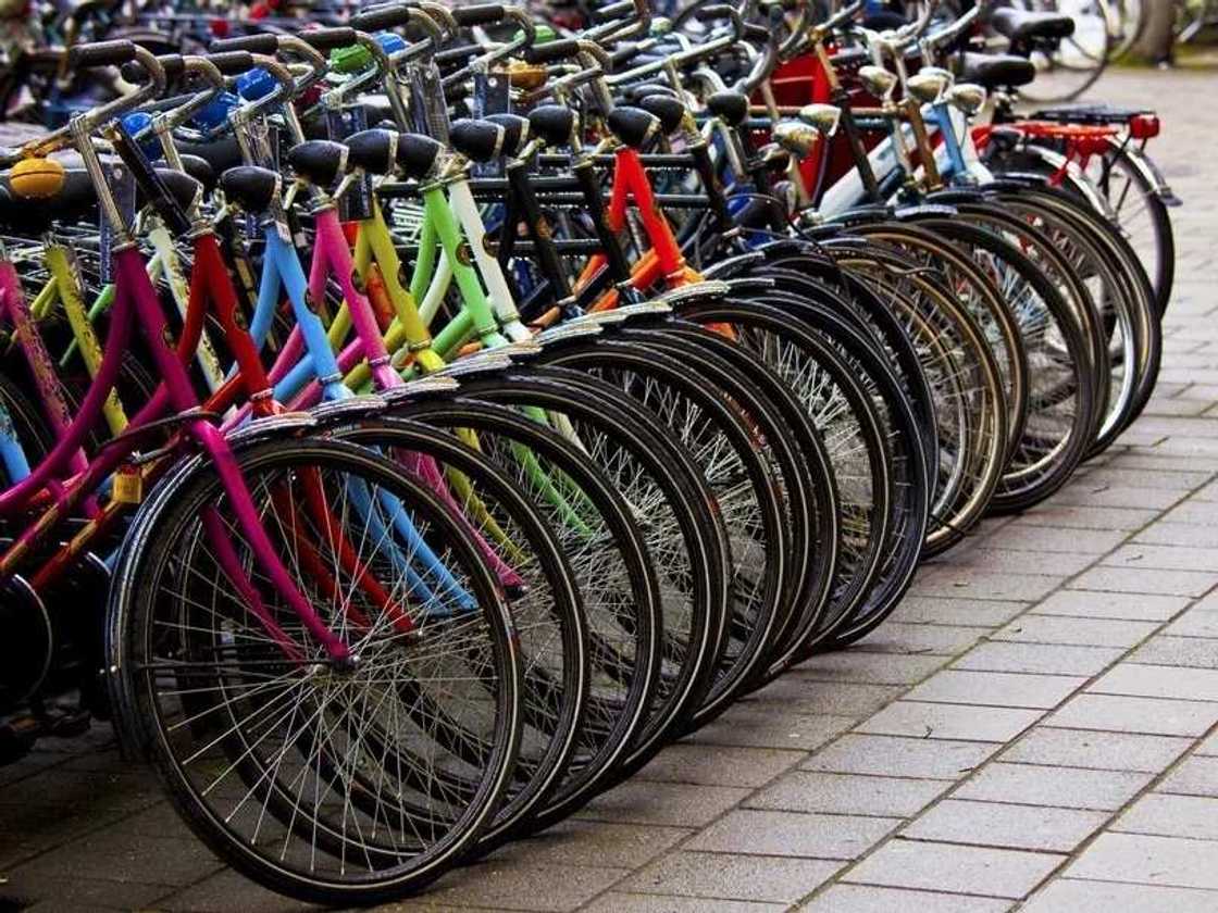 bicycles bicycles