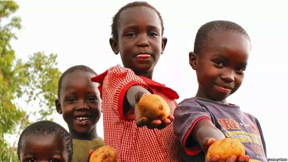 Food insecurity in Nigeria Food insecurity in Nigeria