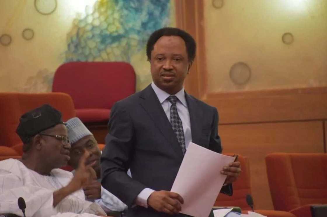 An maida Najeriya wajen zubar da jinin Bil Adama inji Sanata Shehu Sani An maida Najeriya wajen zubar da jinin Bil Adama inji Sanata Shehu Sani