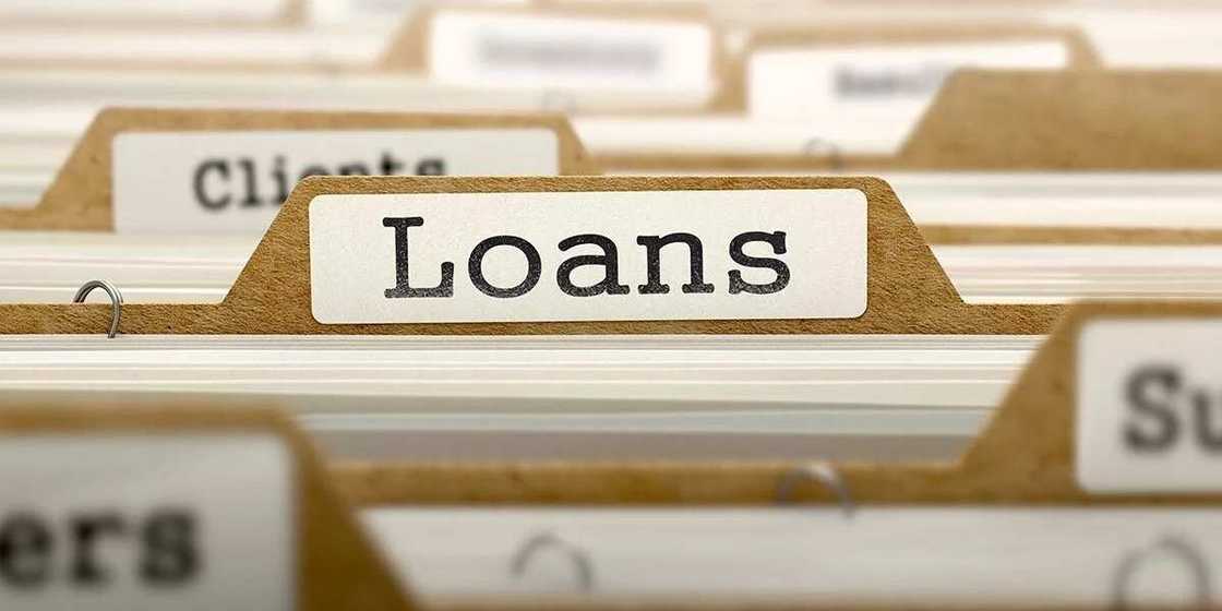 loans loans
