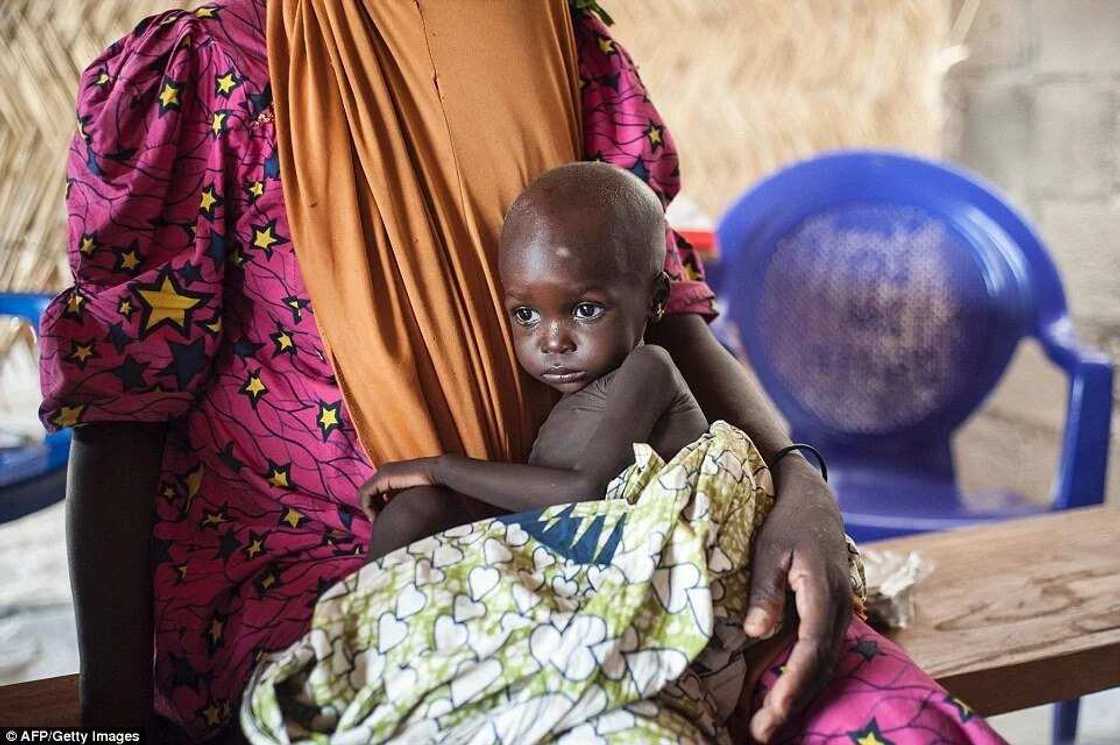 Malnutrition crisis hits IDP camps in Borno