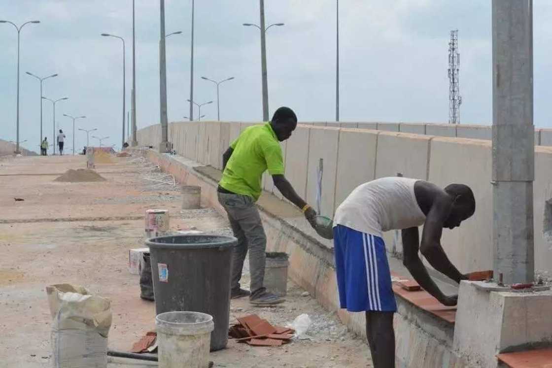 In Ebonyi, it is a near-crime not to be a farmer In Ebonyi, it is a near-crime not to be a farmer