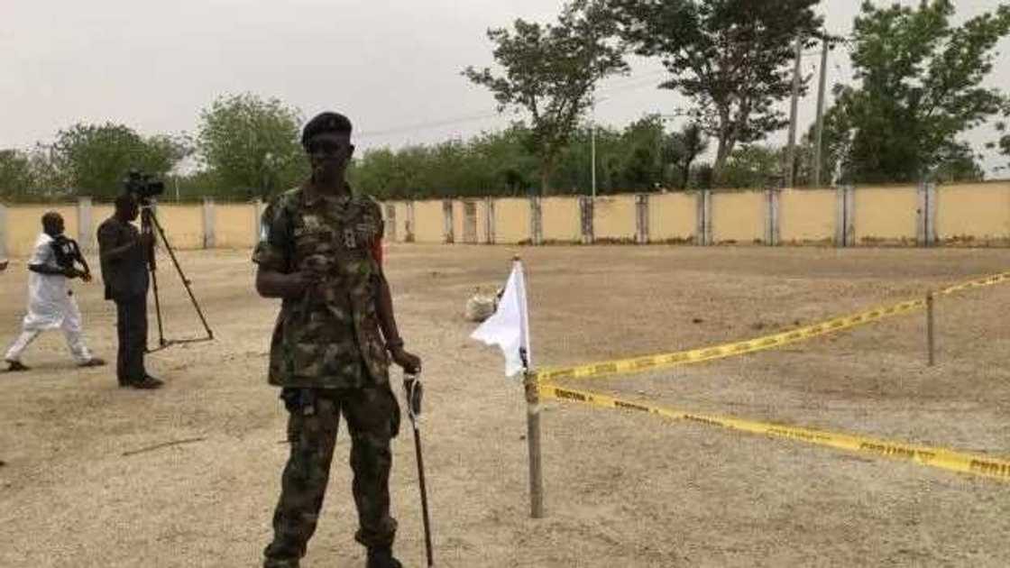 Hotunan taron lalata dubban bindigogi a jihar Zamfara Hotunan taron lalata dubban bindigogi a jihar Zamfara