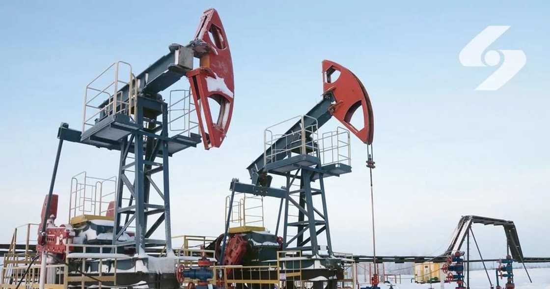 LNG Nigeria salary LNG Nigeria salary