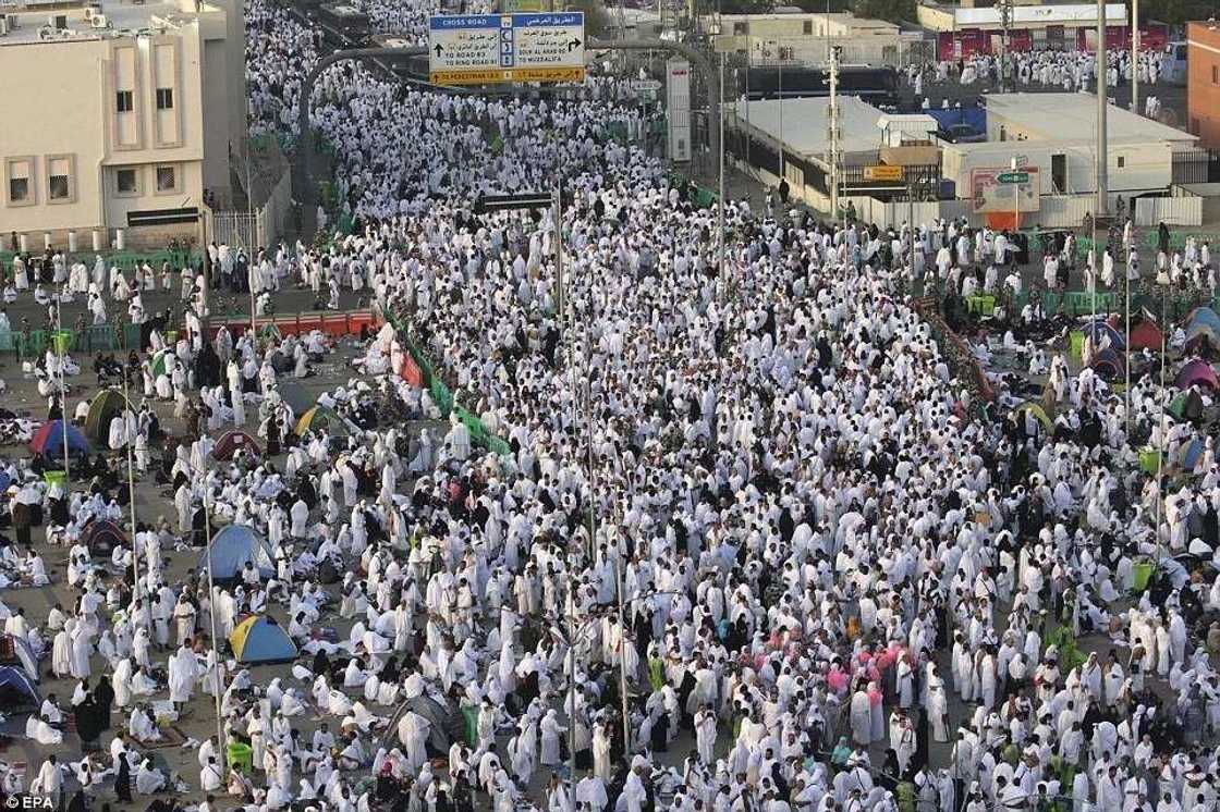 Muslims Gather At Mount Arafat To Mark Peak Of Hajj 2015