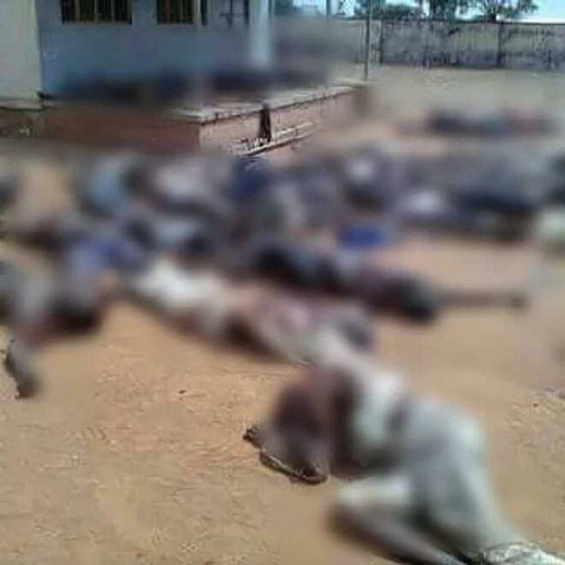 Fani-Kayode releases photos of Southern Kaduna killings Fani-Kayode releases photos of Southern Kaduna killings