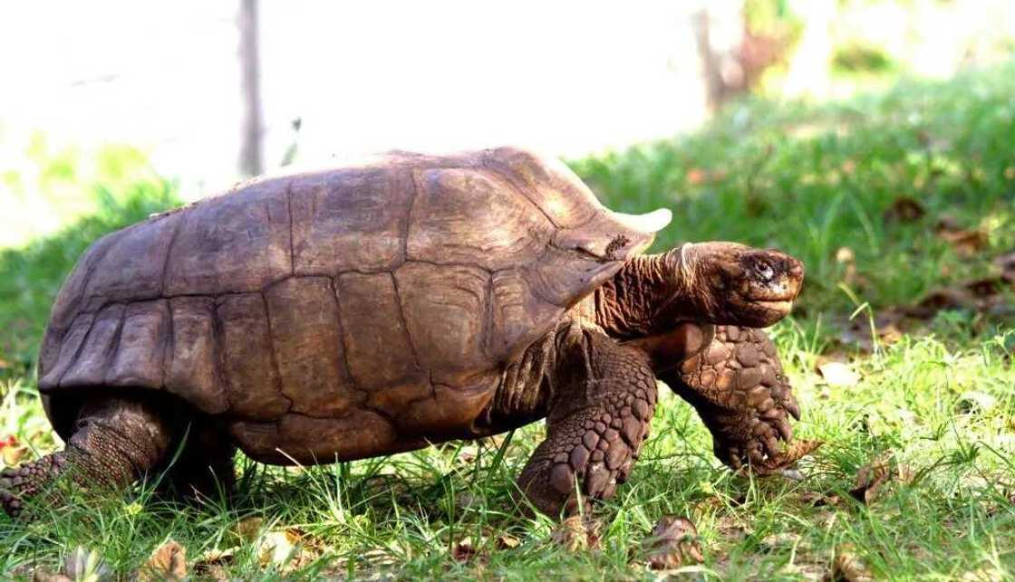 Best Place to Get Away From City Life This Weekend Best Place to Get Away From City Life This Weekend