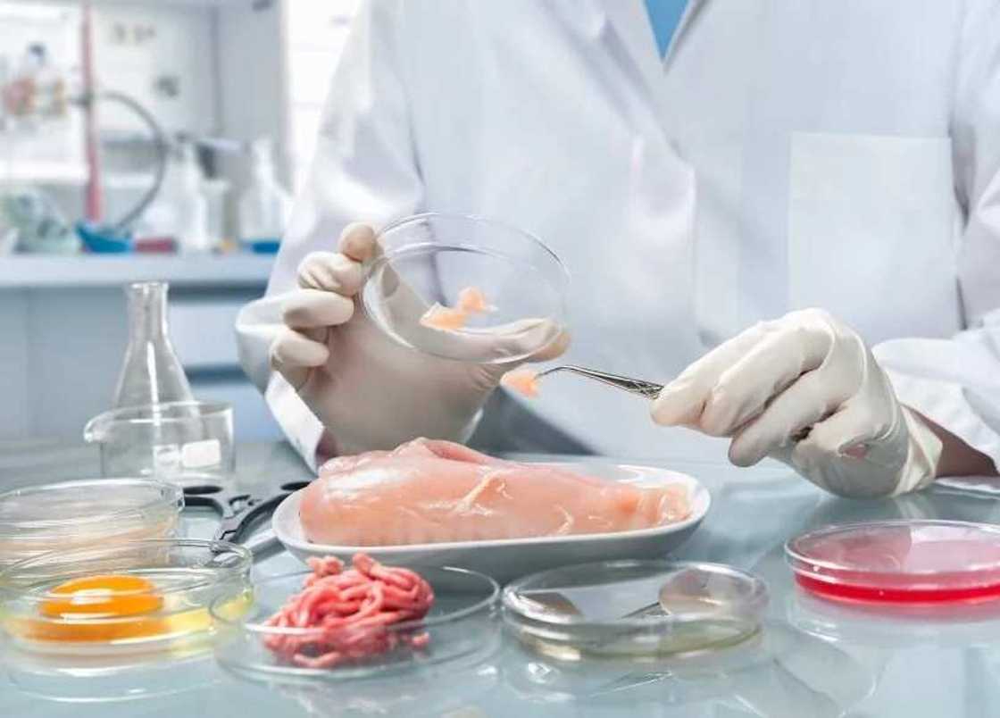 Importance of food safety Importance of food safety