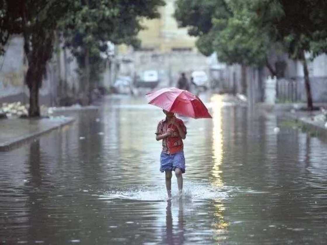 Rain in Nigeria