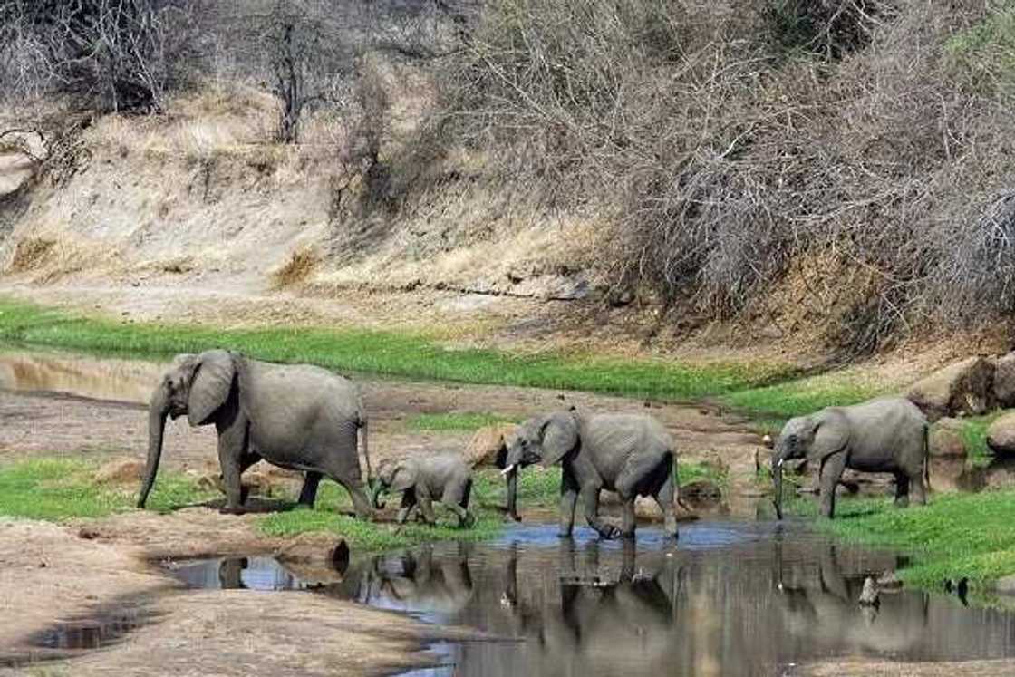 Gashaka Gumti Gashaka Gumti