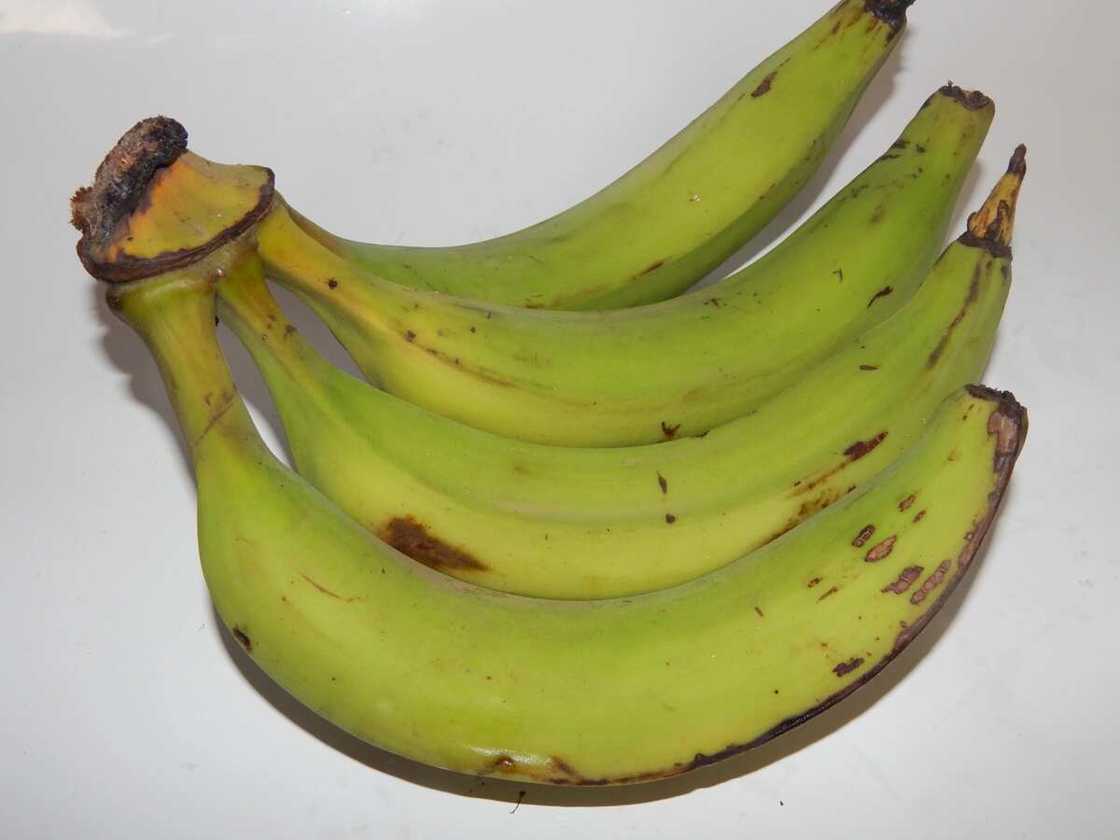 unripe plantain unripe plantain