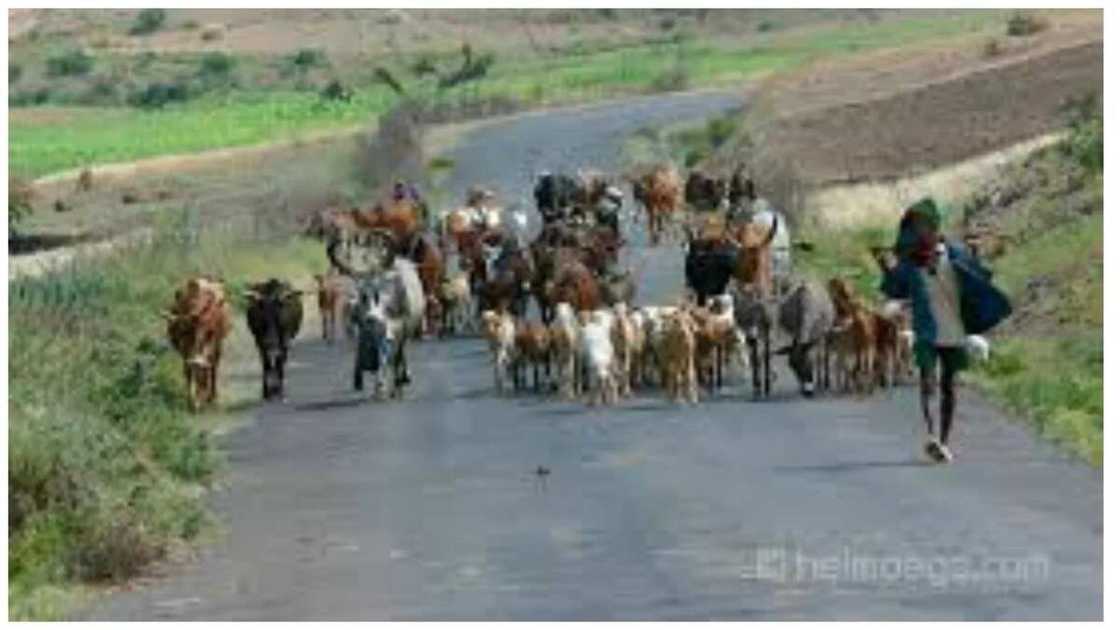 Rikicin makiyaya zai iya jawo babban barazana ga hadin kai Nijeriya – Inji shugabanin kirista Rikicin makiyaya zai iya jawo babban barazana ga hadin kai Nijeriya – Inji shugabanin kirista