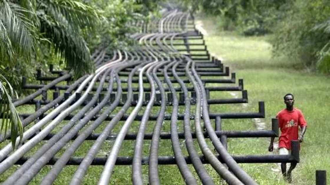 Fasa bututu ya jawo kwararar mai a Yankin Neja Delta Fasa bututu ya jawo kwararar mai a Yankin Neja Delta