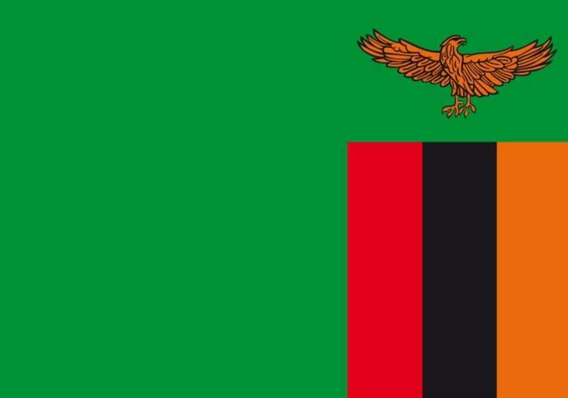 Flag of Zambia