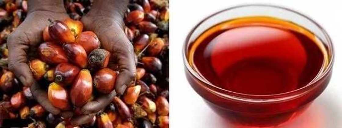 Companies that buy palm oil in Nigeria