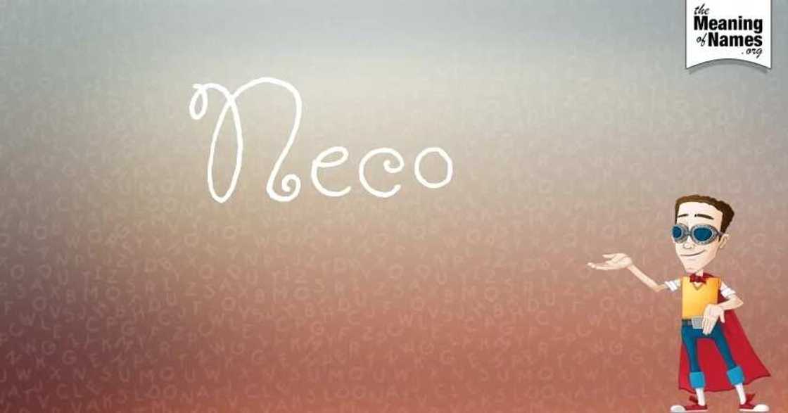 The word NECO The word NECO