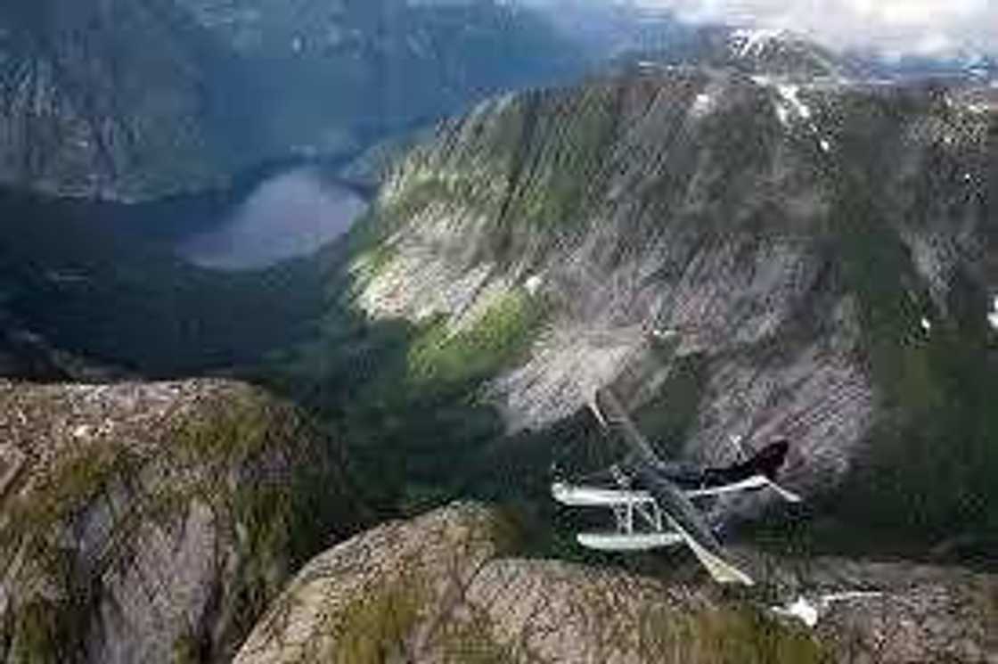 Plane Crash: Pilot And Eight Passengers Kiiled Plane Crash: Pilot And Eight Passengers Kiiled