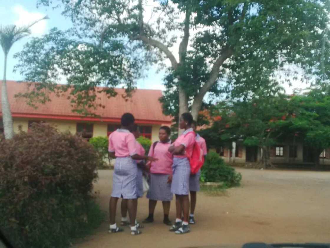 NLC members, police clash (photos) NLC members, police clash (photos)