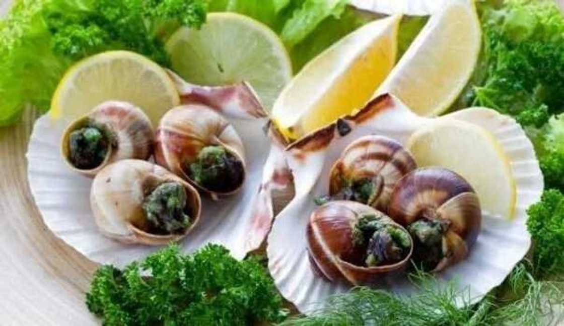 Health benefits of snail meat Health benefits of snail meat