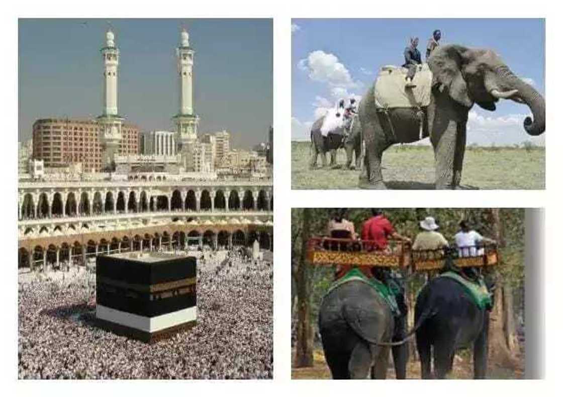 Ra’ayi: Dalilin daya sa yan shi’a basa son birnin Makkah Ra’ayi: Dalilin daya sa yan shi’a basa son birnin Makkah