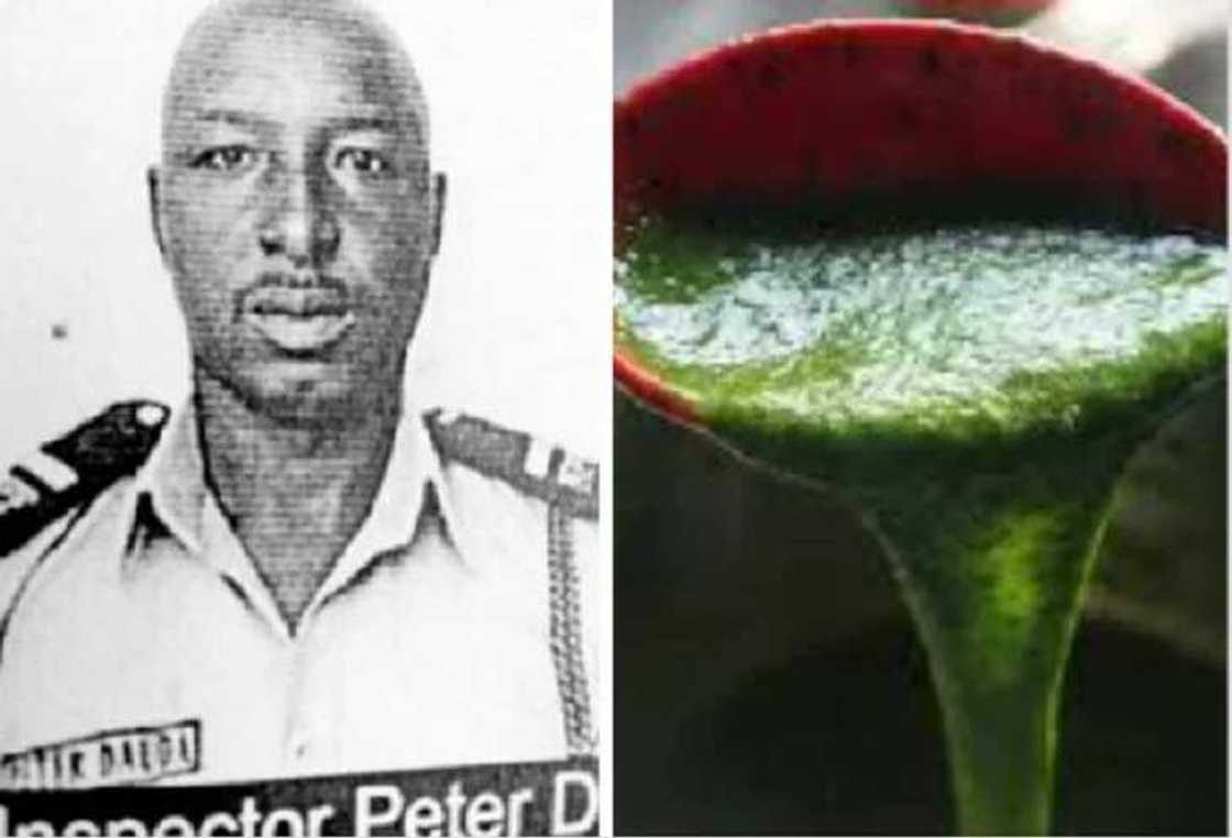 Miyan Ayoyo ya hallaka Uba, Matarsa, Ýaýansu guda 3 da karensu a jihar Kaduna Miyan Ayoyo ya hallaka Uba, Matarsa, Ýaýansu guda 3 da karensu a jihar Kaduna