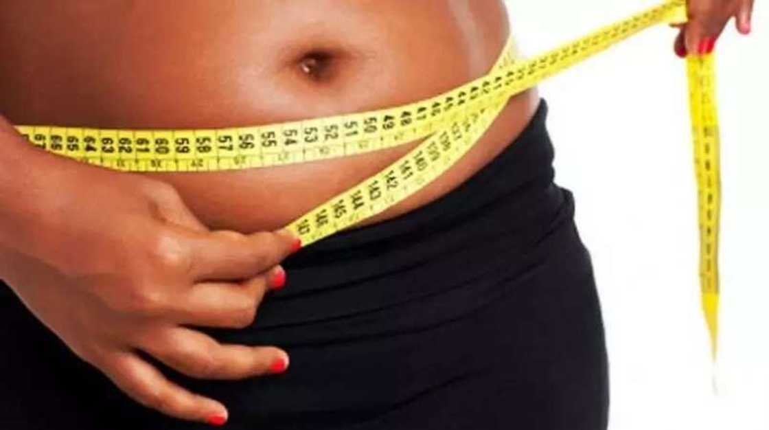 Benefits of mango leaves for weight loss2 Benefits of mango leaves for weight loss2