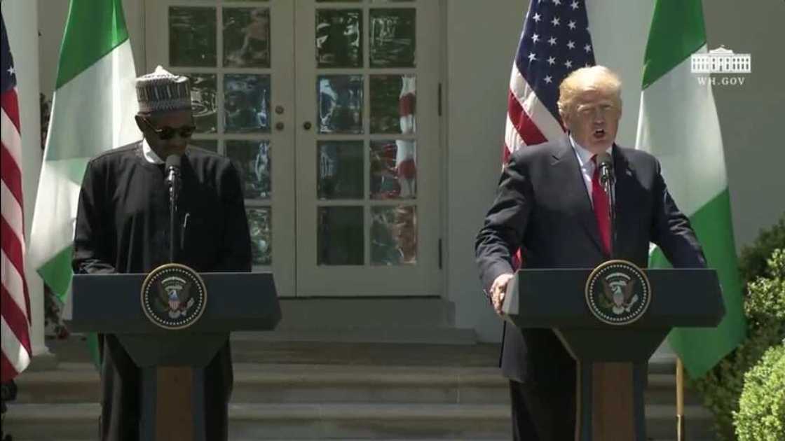 LIVE UPDATES: I thank President Buhari for his fight against terrorism, corruption - President Trump