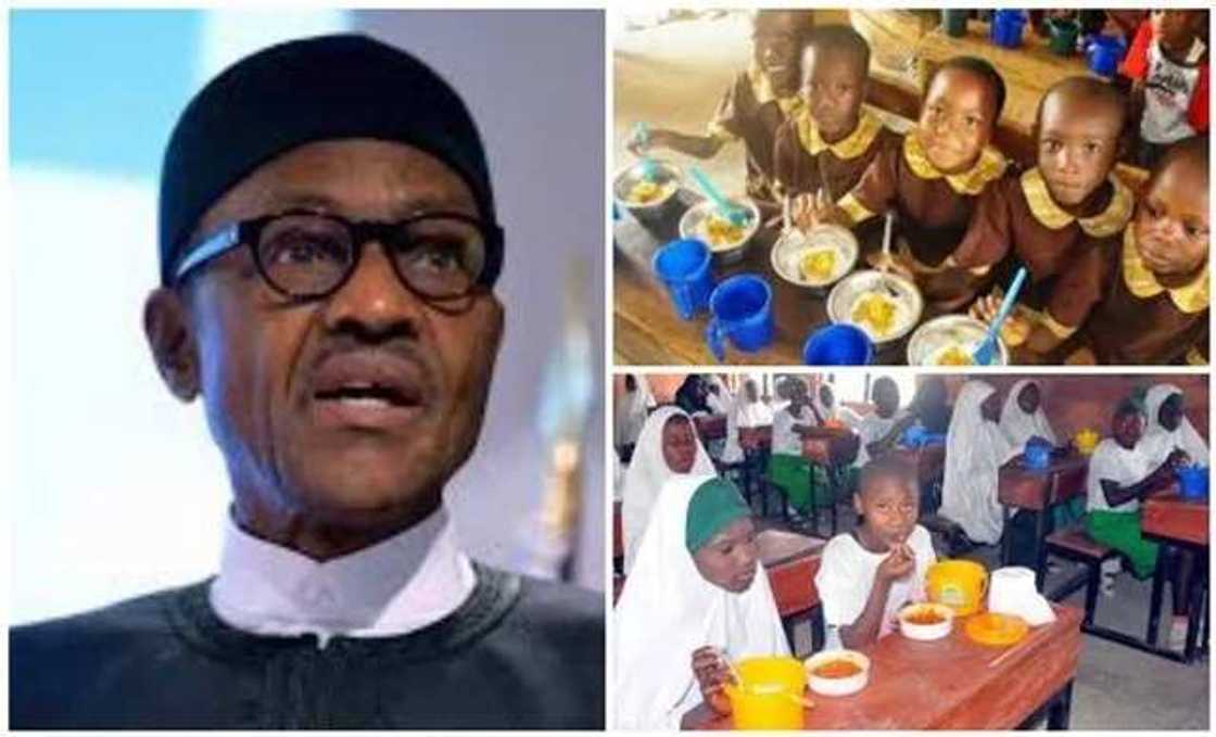 Presidency releases N375m to feed 700,000 primary school pupils Presidency releases N375m to feed 700,000 primary school pupils