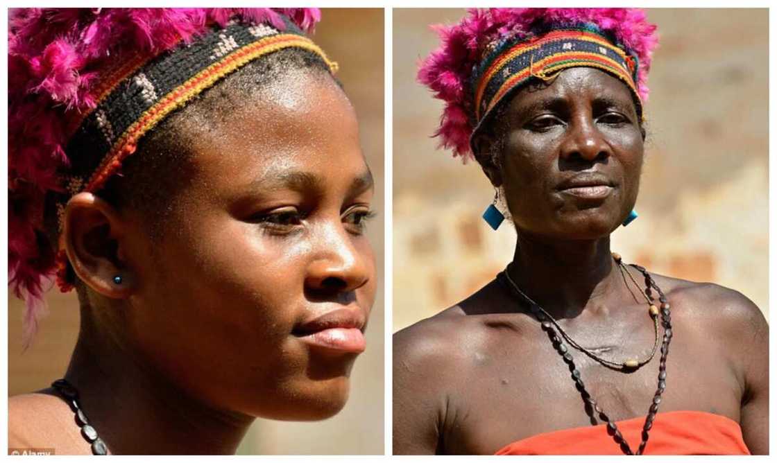 Cameroonian Man Inherits 100 Wives From His Father Cameroonian Man Inherits 100 Wives From His Father