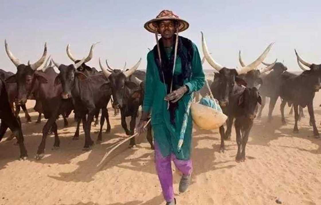 Makiyayi ya kashe wani sufeton dan sanda a Kebbi Makiyayi ya kashe wani sufeton dan sanda a Kebbi