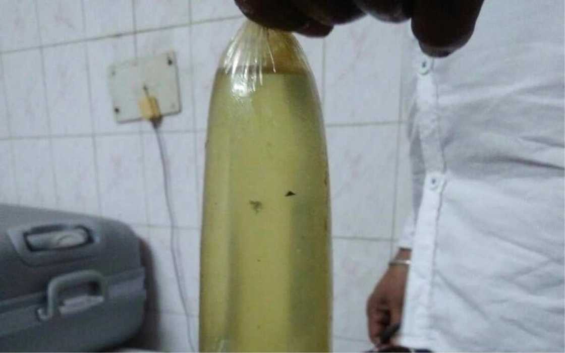 Agency apprehends Nigerian, 2 Brazilians in India with 2.650 litres of cocaine Agency apprehends Nigerian, 2 Brazilians in India with 2.650 litres of cocaine