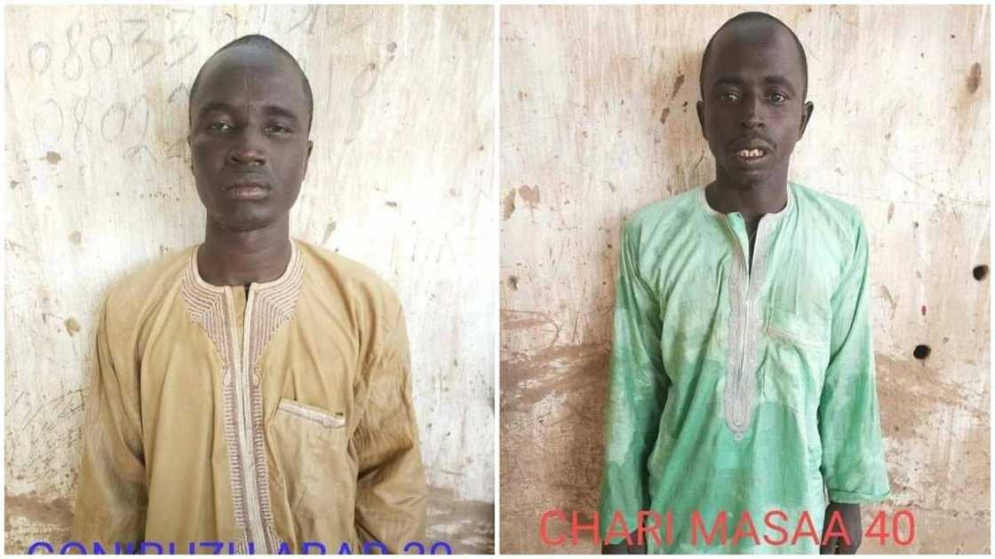 Nigerian troops nab 4 Boko Haram insurgents in Yobe (photos)