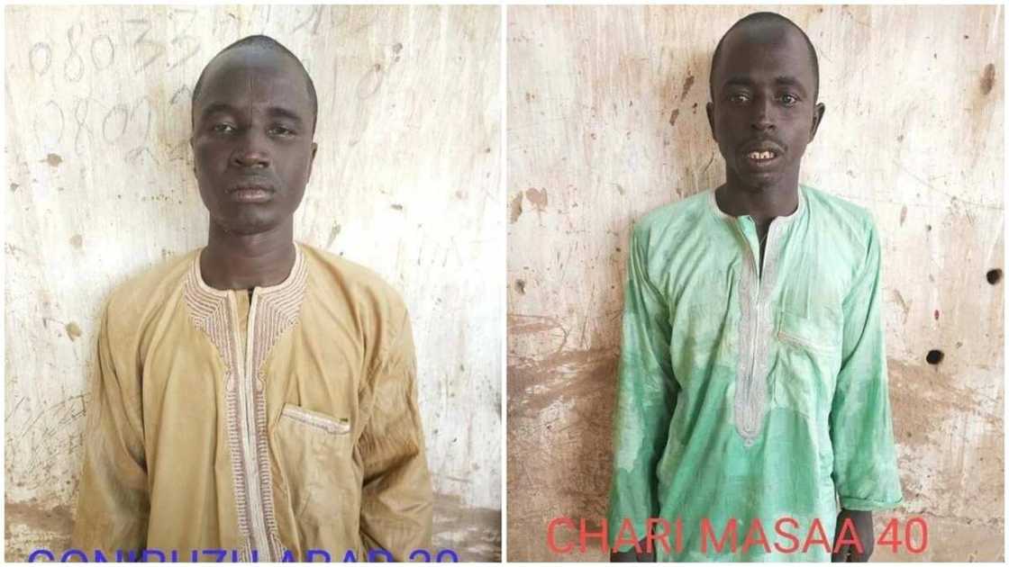 Nigerian troops nab 4 Boko Haram insurgents in Yobe (photos) Nigerian troops nab 4 Boko Haram insurgents in Yobe (photos)