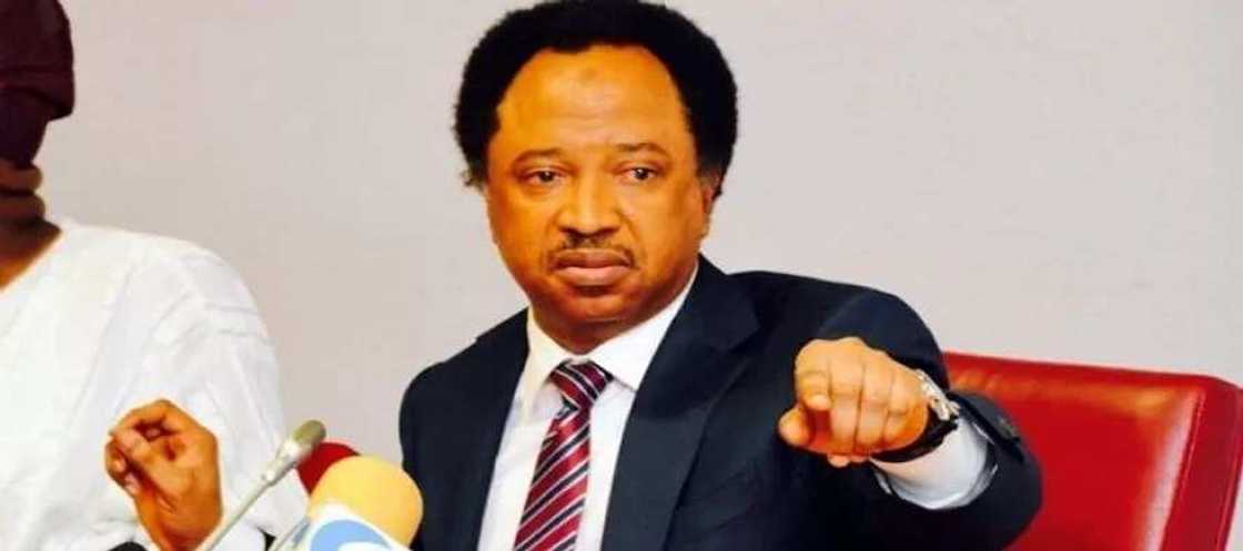 Idan har siyasar ka don mutane ne toh ka rungumi zaben fidda gwani – Shehu Sani Idan har siyasar ka don mutane ne toh ka rungumi zaben fidda gwani – Shehu Sani