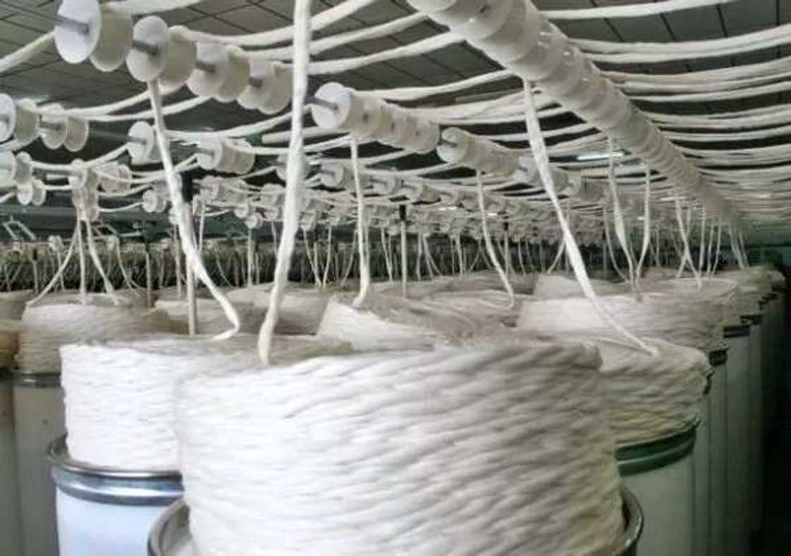 Agro-allied textile industry