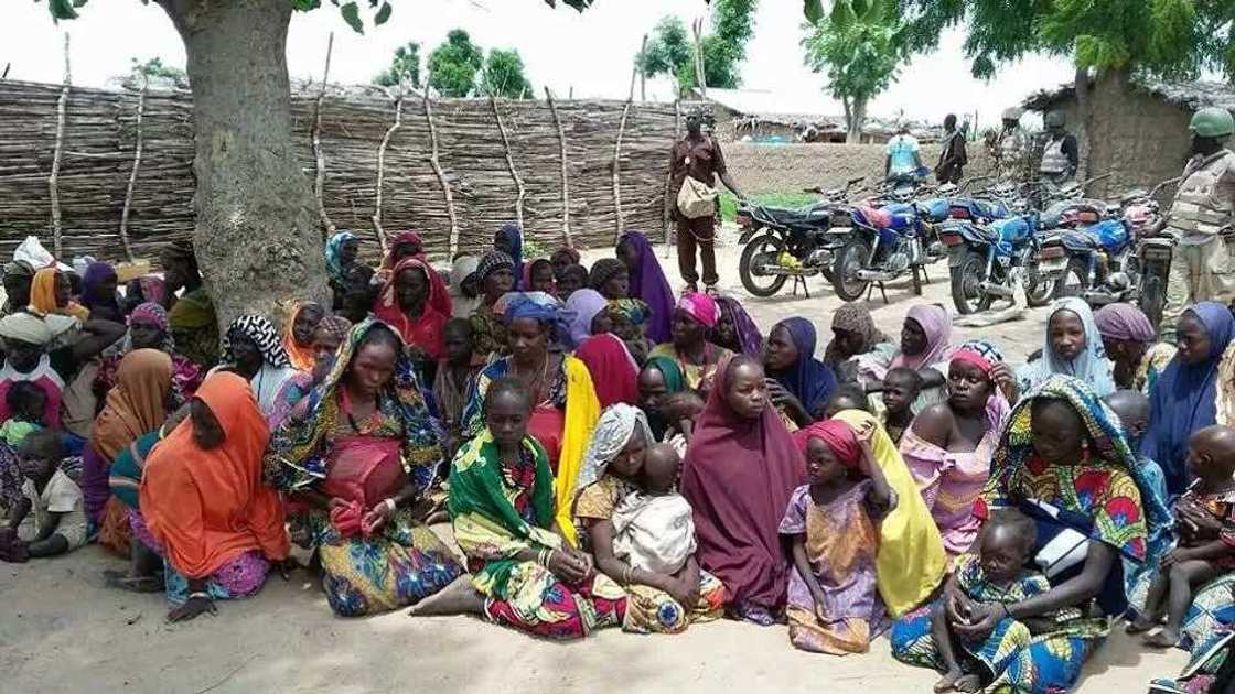 Troops Arrest Boko Haram Food Suppliers In Borno Troops Arrest Boko Haram Food Suppliers In Borno