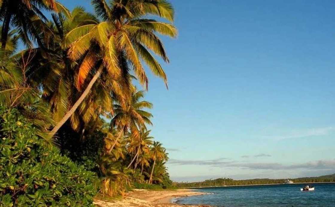 Coconut Beach Nigeria2 Coconut Beach Nigeria2