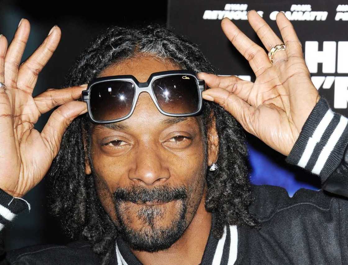 Snoop Dogg glasses Snoop Dogg glasses