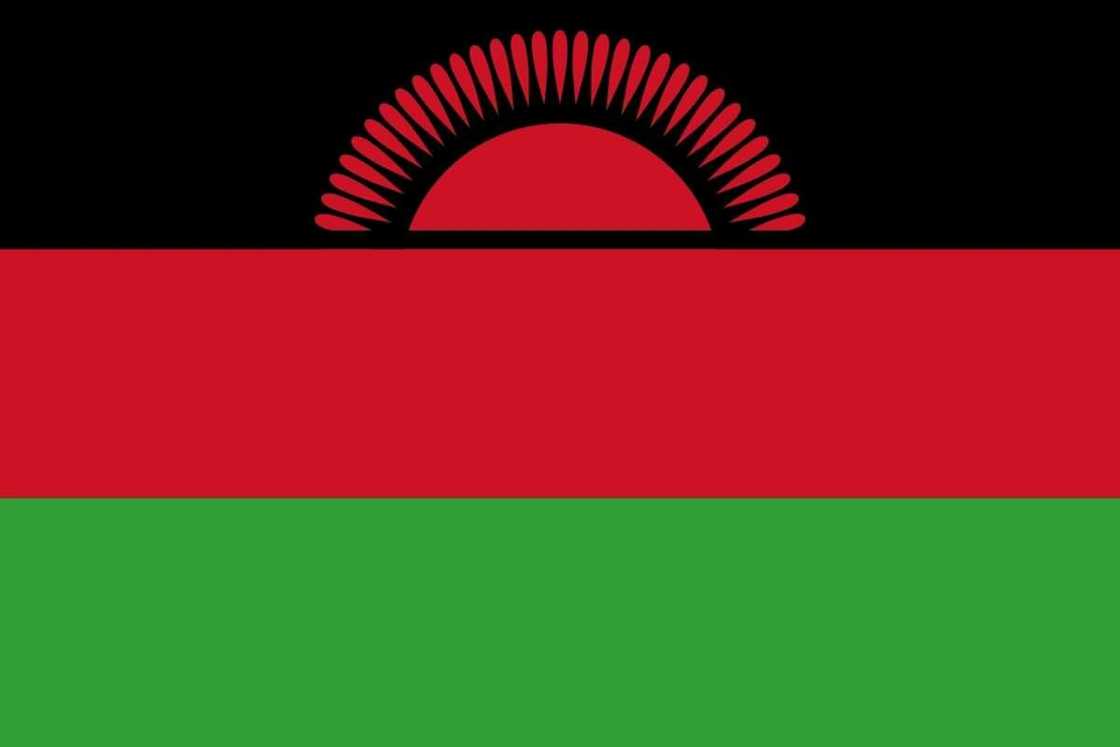 Flag of Malawi