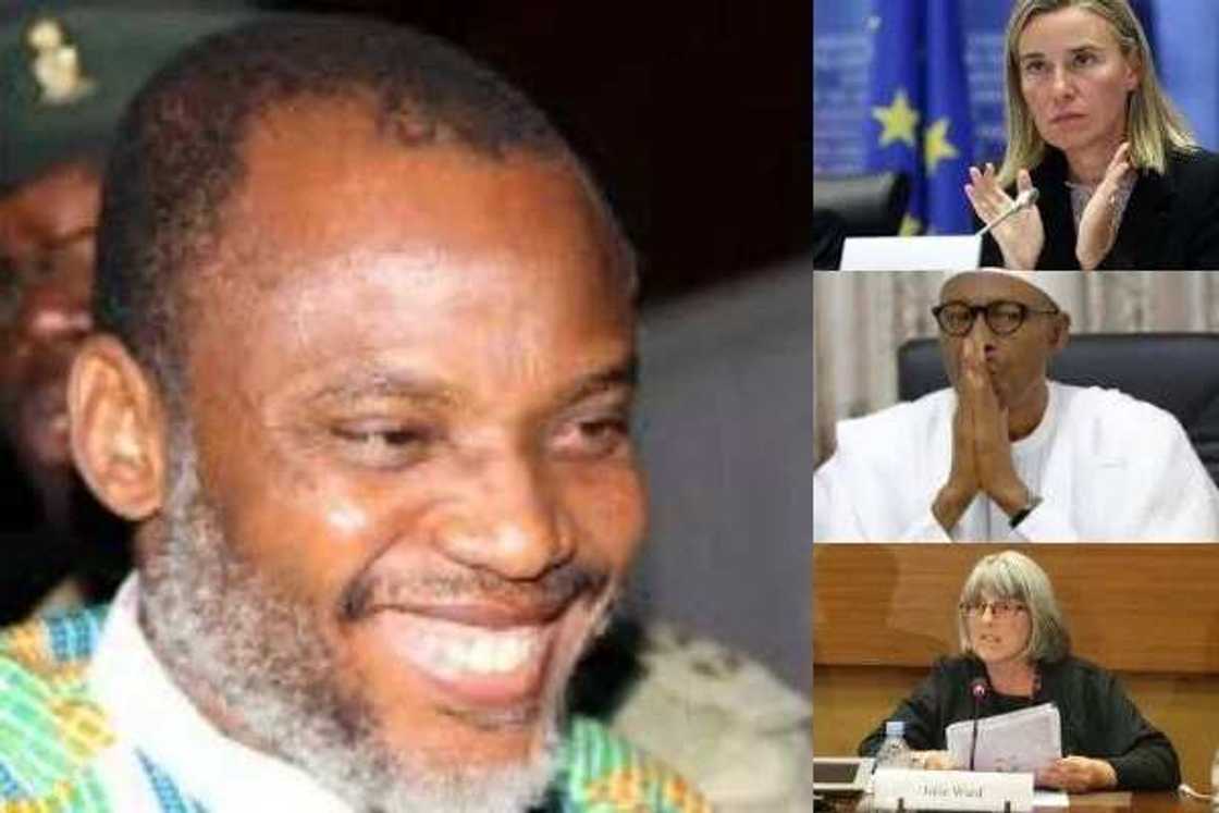 Biafra: 16 member of European parliament ask EU to challenge Buhari, DSS Biafra: 16 member of European parliament ask EU to challenge Buhari, DSS