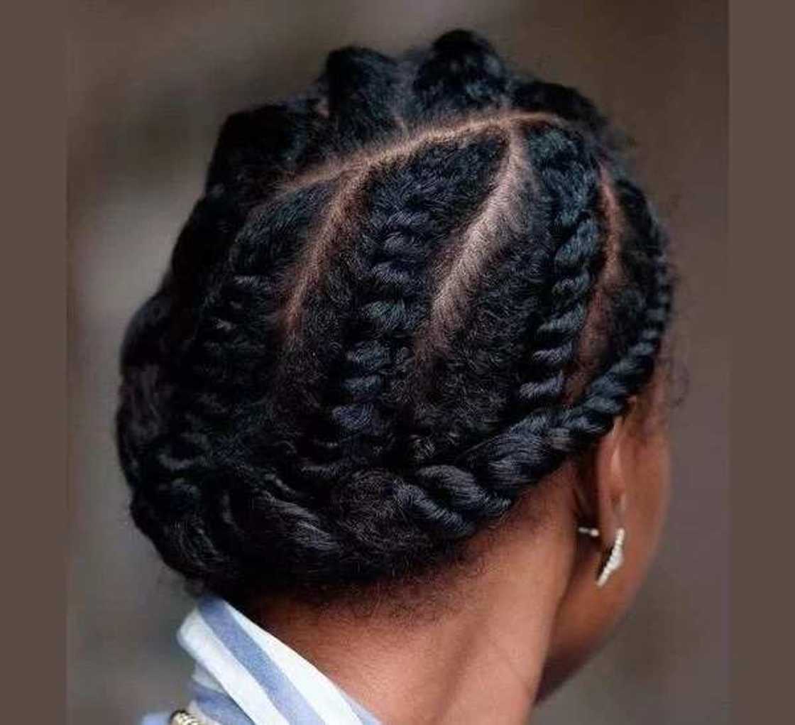 twists twists
