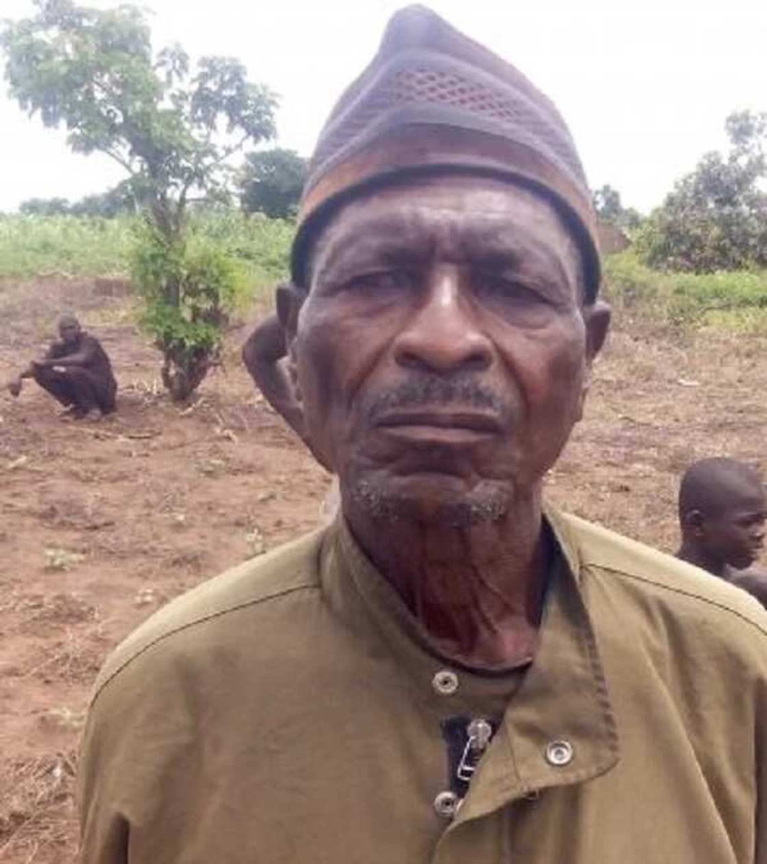 Rusau: Dangote ya rushe gidaje da bishiyun wani kauye, hoto Rusau: Dangote ya rushe gidaje da bishiyun wani kauye, hoto