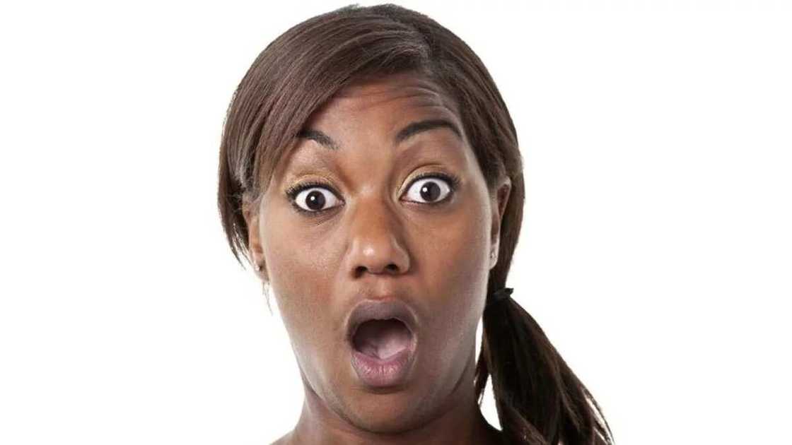 Stock image. Stock image.