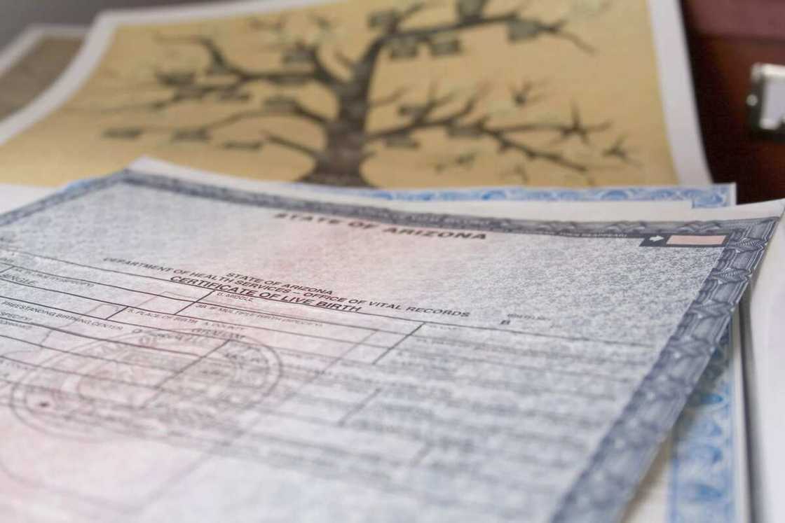 Documents for US visa interview in Nigeria (birth certificate) Documents for US visa interview in Nigeria (birth certificate)