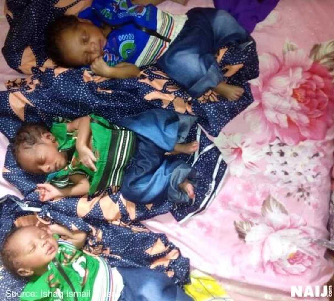 Cikin Hotuna: Wata Mata ta Haifi 'Yan 3 duka Maza a jihar Kano Cikin Hotuna: Wata Mata ta Haifi 'Yan 3 duka Maza a jihar Kano