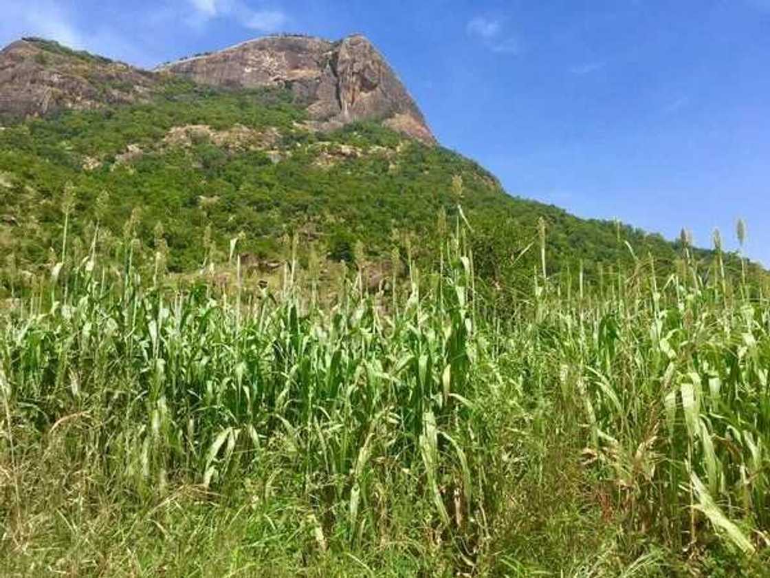 12 absolutely beautiful pictures of Northern Nigeria you should see 12 absolutely beautiful pictures of Northern Nigeria you should see